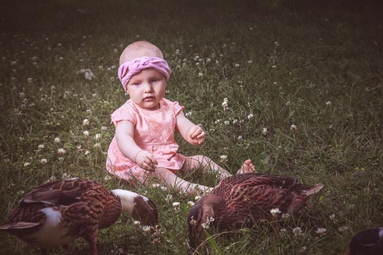 19702377_248299732335791_3337584086330273984_n