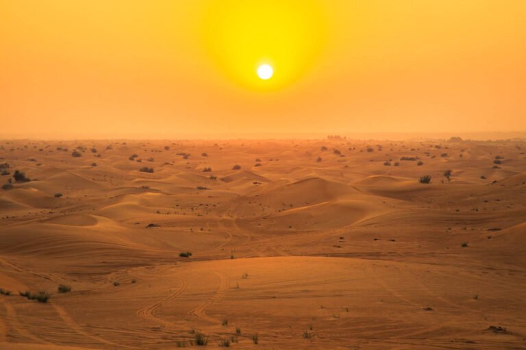 27747363_1581074811930266_3116401376989150079_o-2