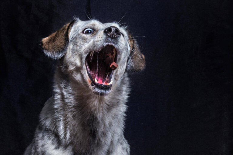 86df0c_e3ad45b7cbcb487fb8f984b23cb98909~mv2_d_2048_1366_s_2